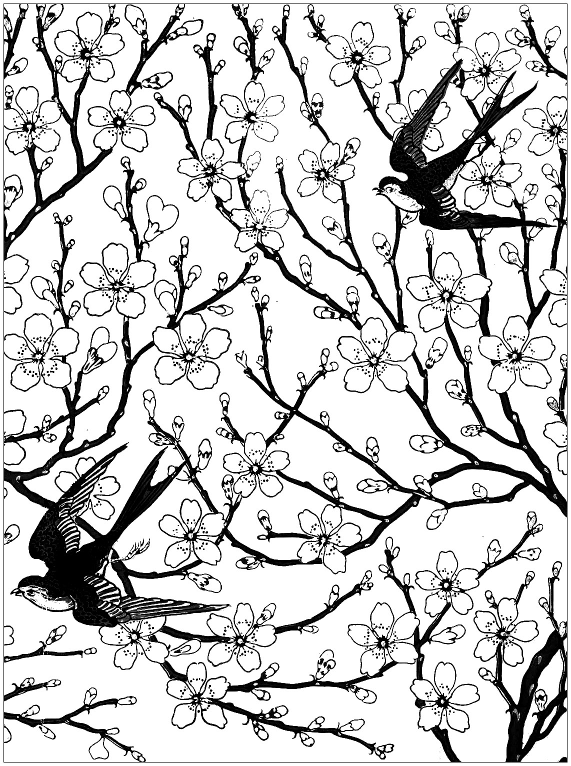 1142x1532 Almond Blossom And Swallow