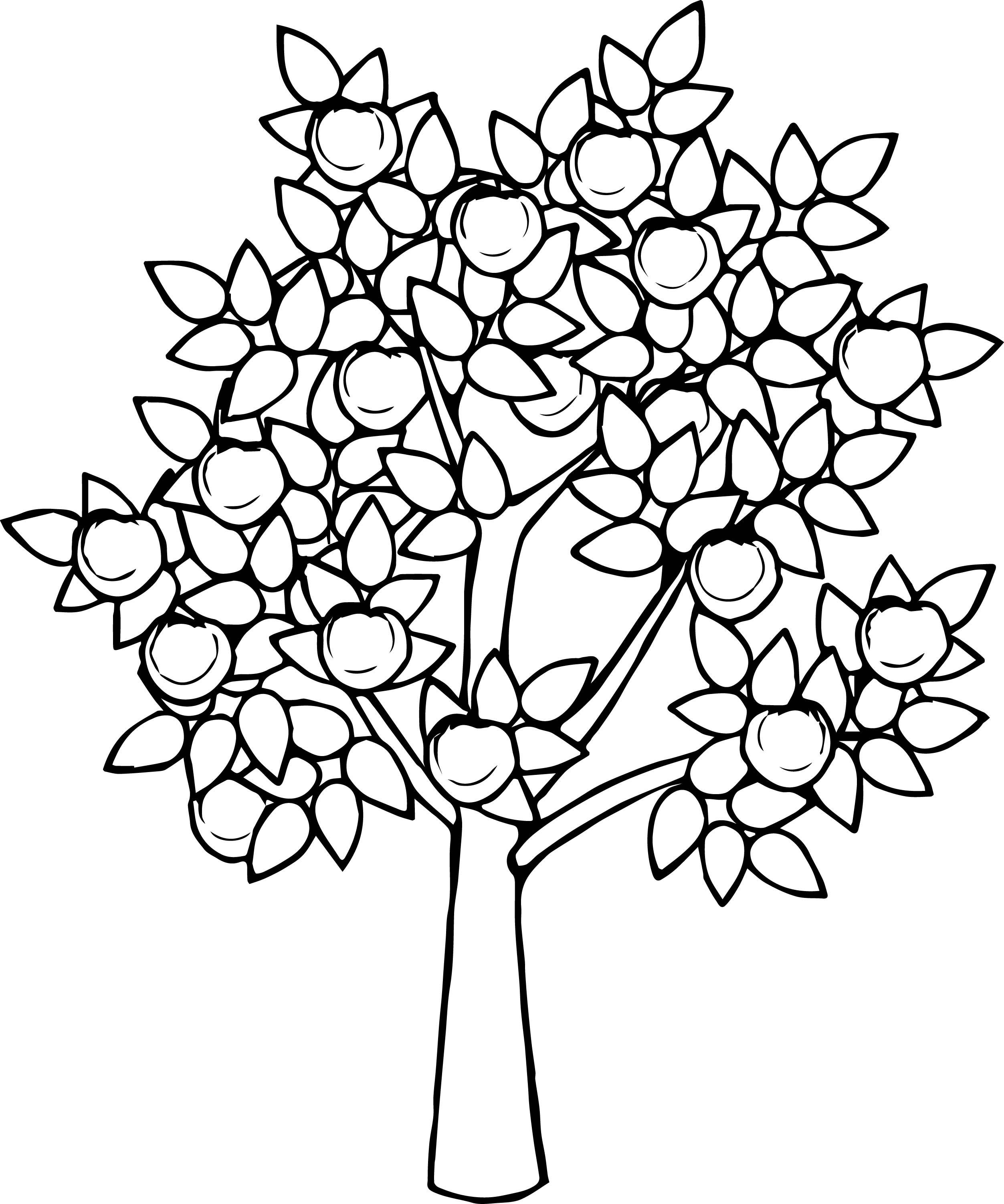 2505x3005 Amazing Blossoming Almond Tree Branch With Flowers Coloring Book
