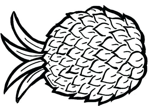 500x354 Coloring Pages Flowers Spring Pineapple Aloha Theme Beach Free
