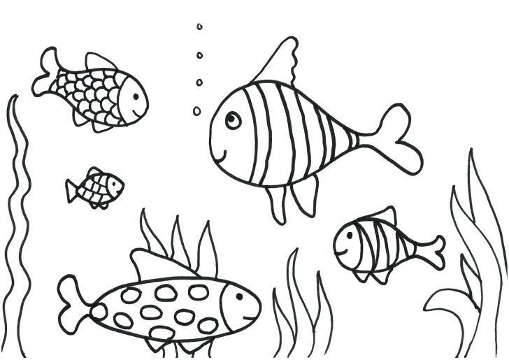 728x515 Coloring Pages Thanksgiving Turkey Aloha Greeting Card Colorful