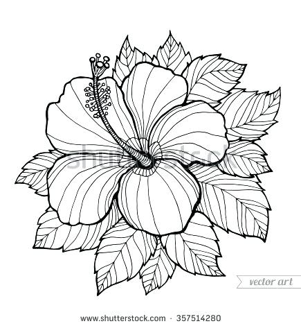 435x470 Hawaii Coloring Book Also Coloring Book Aloha 18