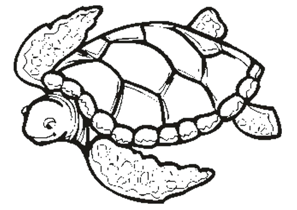 1169x826 Aloha Is Hawaiian Greet Coloring Page Pages For Kids Pdf State