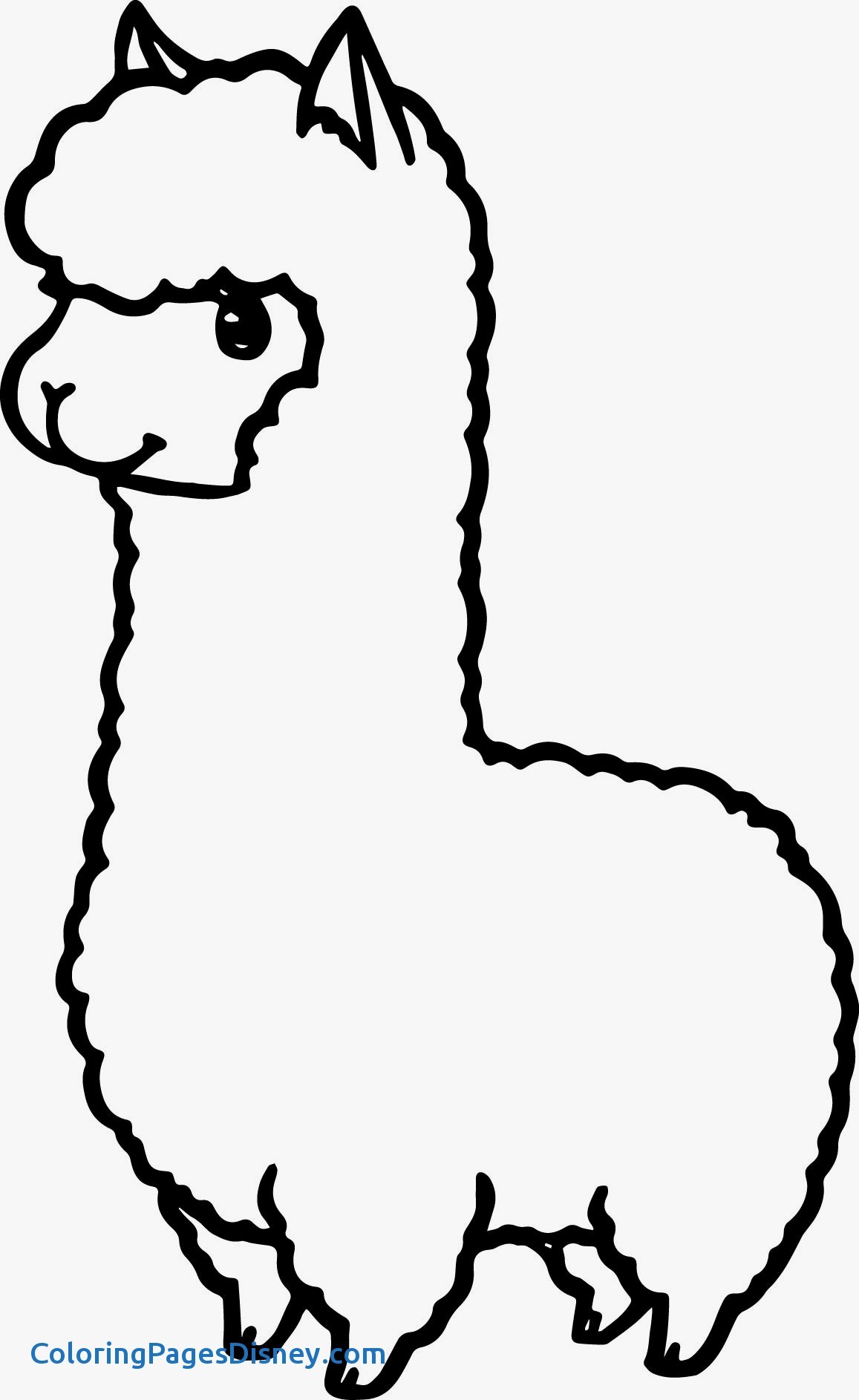 1157x1886 Alpaca Coloring Pages Fresh Cartoon Alpaca Coloring Page