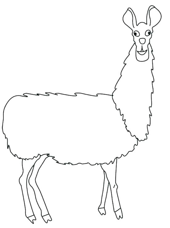 552x741 Alpaca Coloring Pages How Alpaca Coloring Pages Printable Twezgo