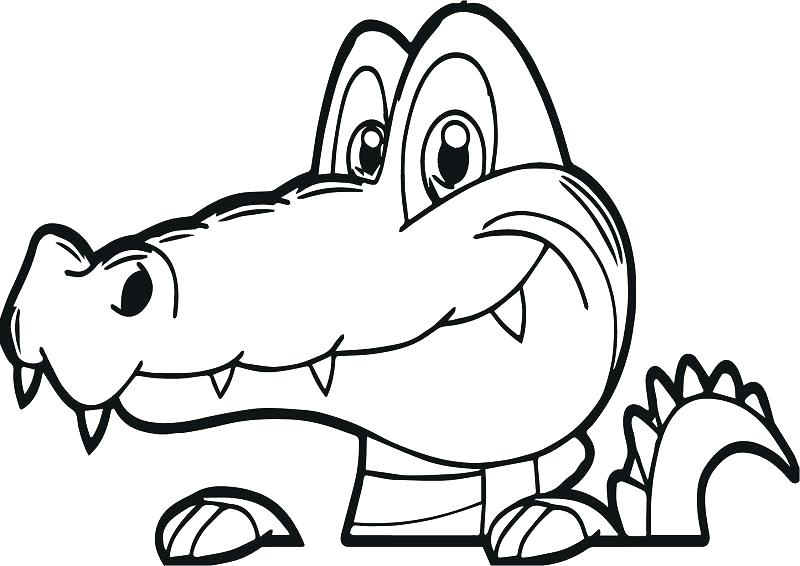 800x566 Alpaca Coloring Pages Alpaca Coloring Pages Coloring Page Or Card