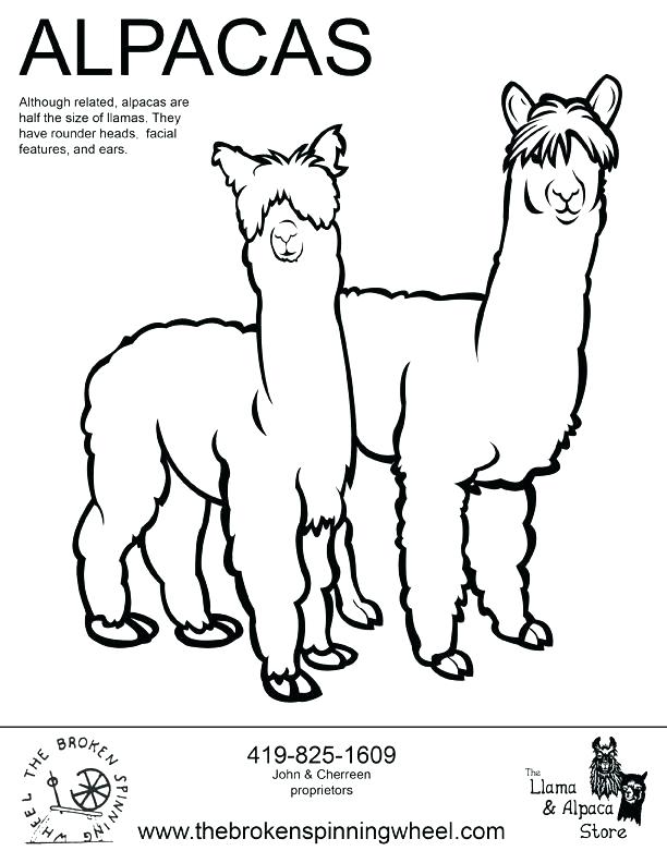 612x792 Alpaca Coloring Pages Alpaca Coloring Pages Llama Misses Mama
