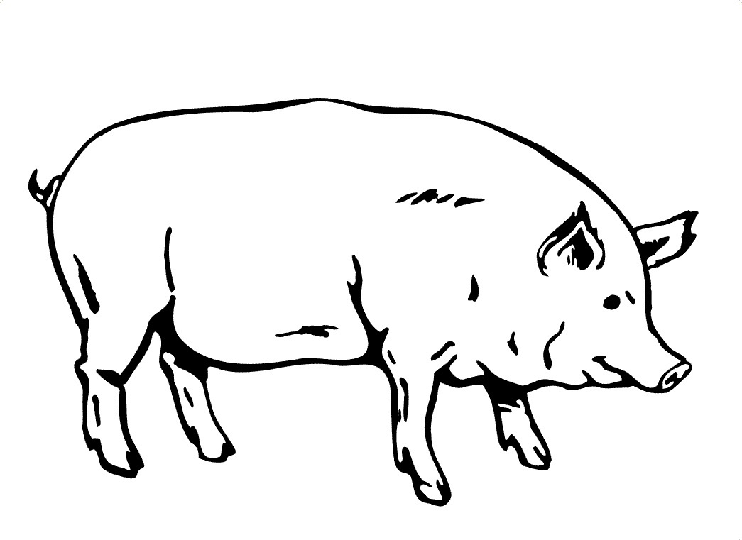 1045x761 Pig Coloring Pages