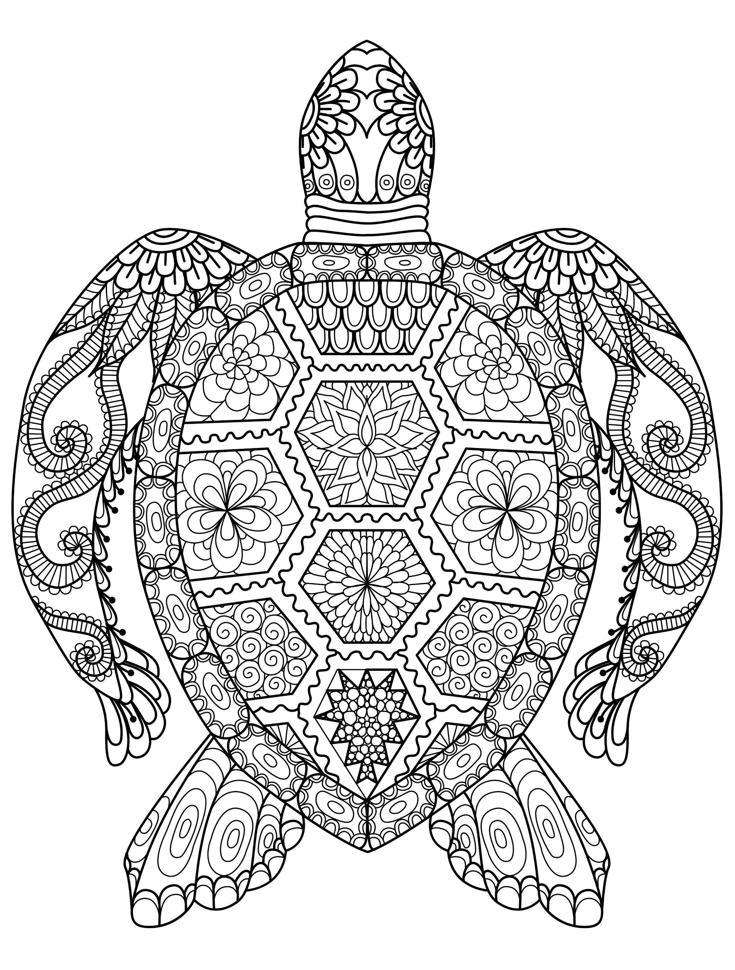 2500x3300 20 Gorgeous Free Printable Adult Coloring Pages Pinteres Amazing