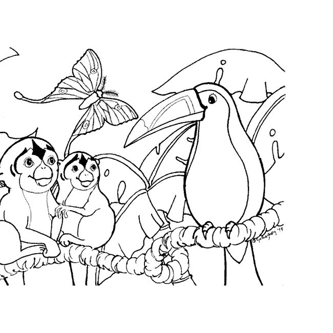 Amazon Rainforest Coloring Pages