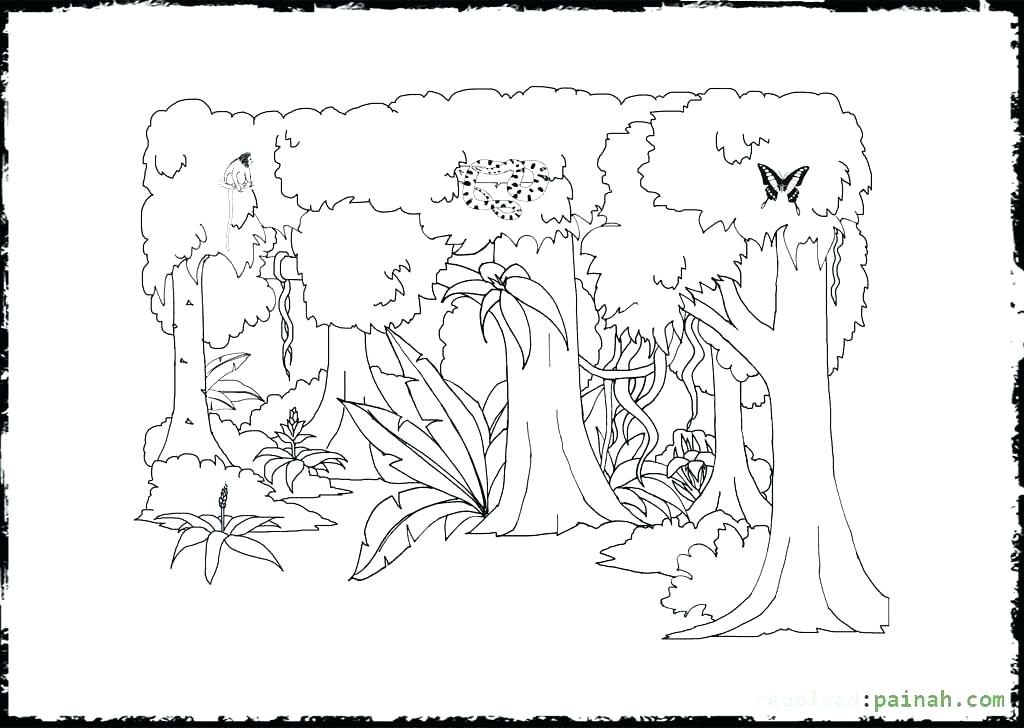 1024x728 Rainforest Animals Coloring Pages Free Printable A Animal Coloring
