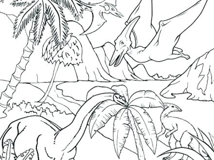 440x330 Rainforest Coloring Page Tropical Coloring Page Animal Coloring