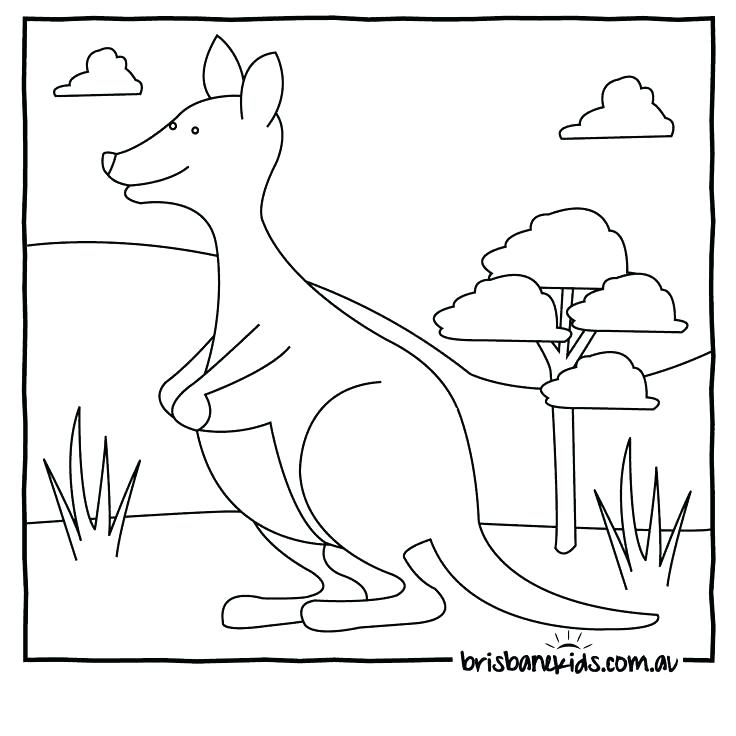 736x736 Amazon Rainforest Animals Coloring Pages Colouring Travelsonline