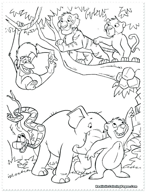 618x813 Amazon Rainforest Coloring Pages Amazon Coloring Pages Coloring
