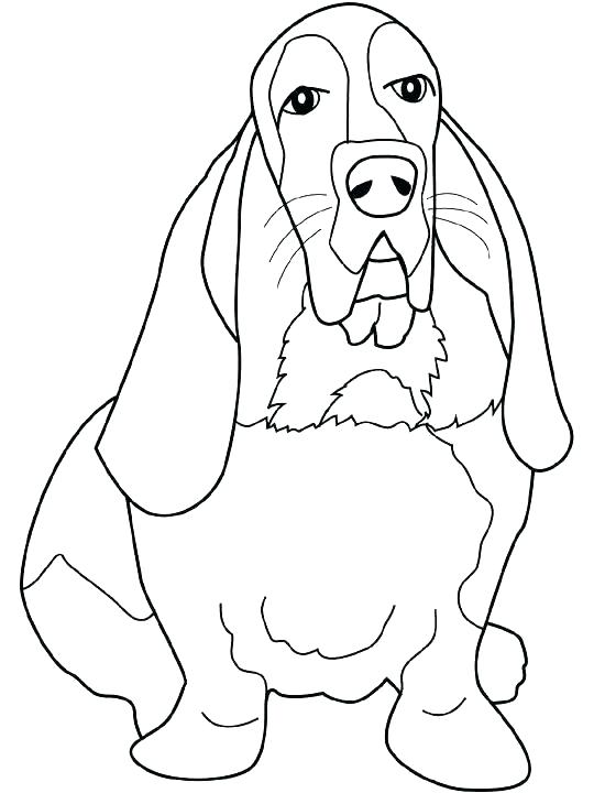 540x720 Amelia Earhart Coloring Page Coloring Page Basset Hound Coloring