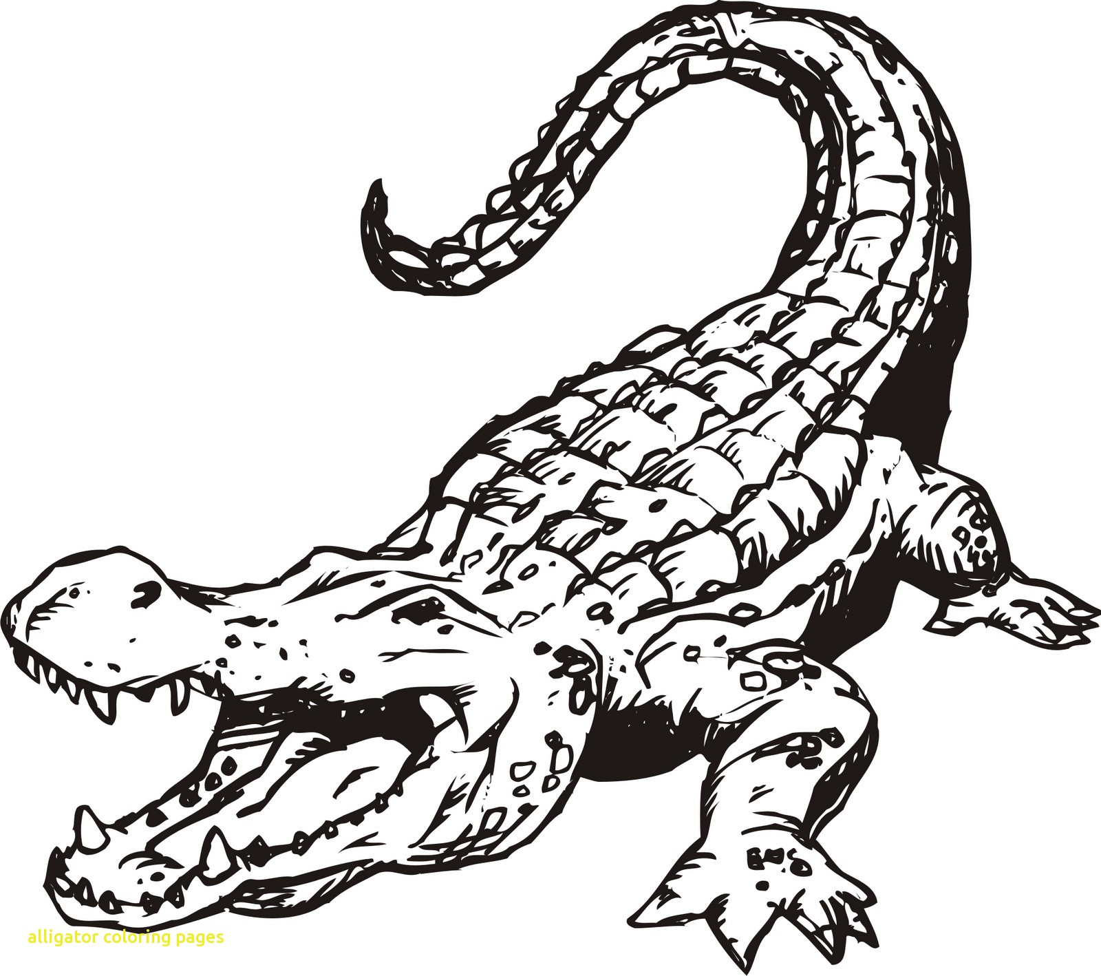1600x1418 Cute American Alligator Coloring Page Free Printable Pages