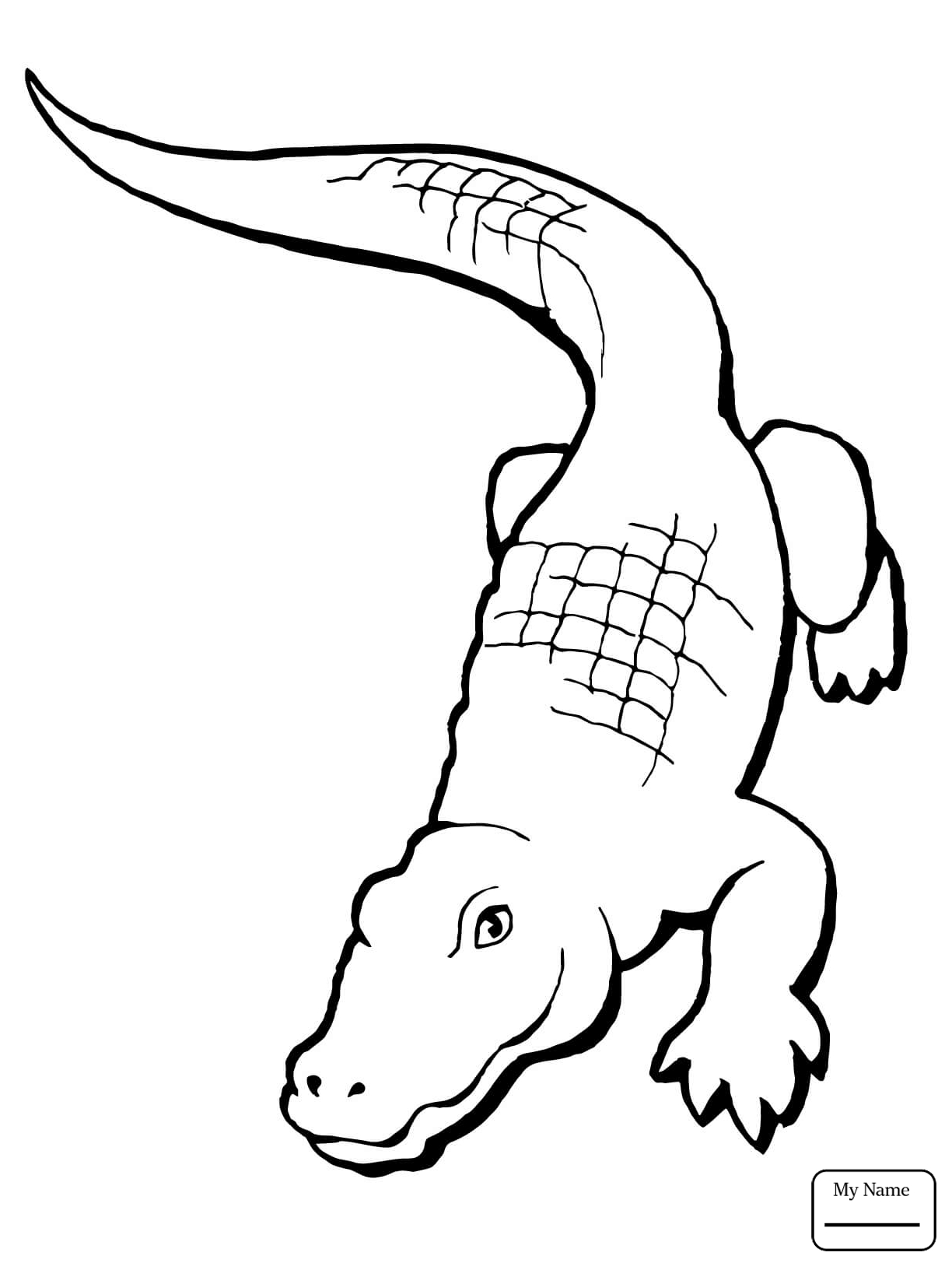 1224x1632 Skill American Alligator Coloring Page Free Pr 9031 Unknown
