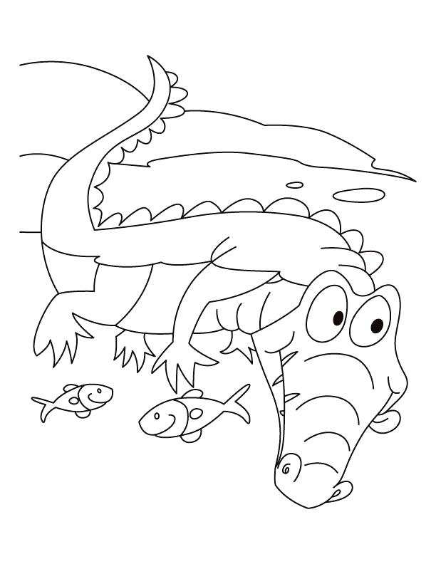 612x792 Alligator Coloring Page Alligator Motto Live N Let Live Coloring
