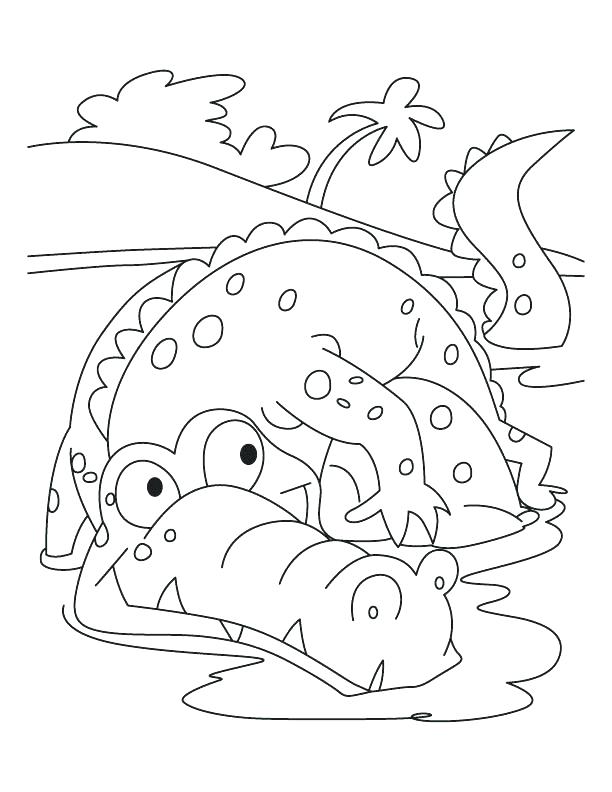 612x792 Alligator Coloring Page American Alligator Coloring Page