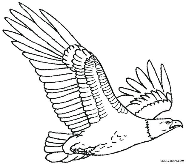 American Bald Eagle Coloring Page