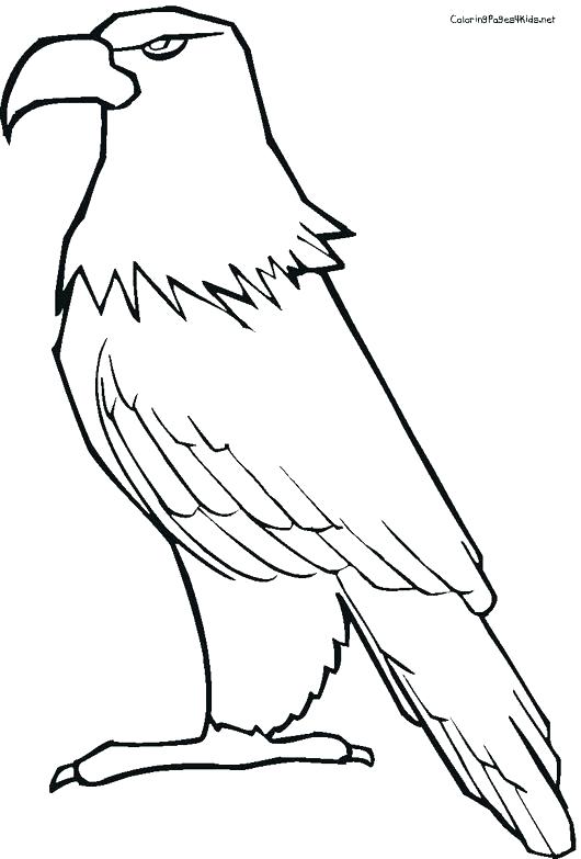 530x783 Eagle Color Page Bald Eagle With Smooth Feather Coloring Page Cute
