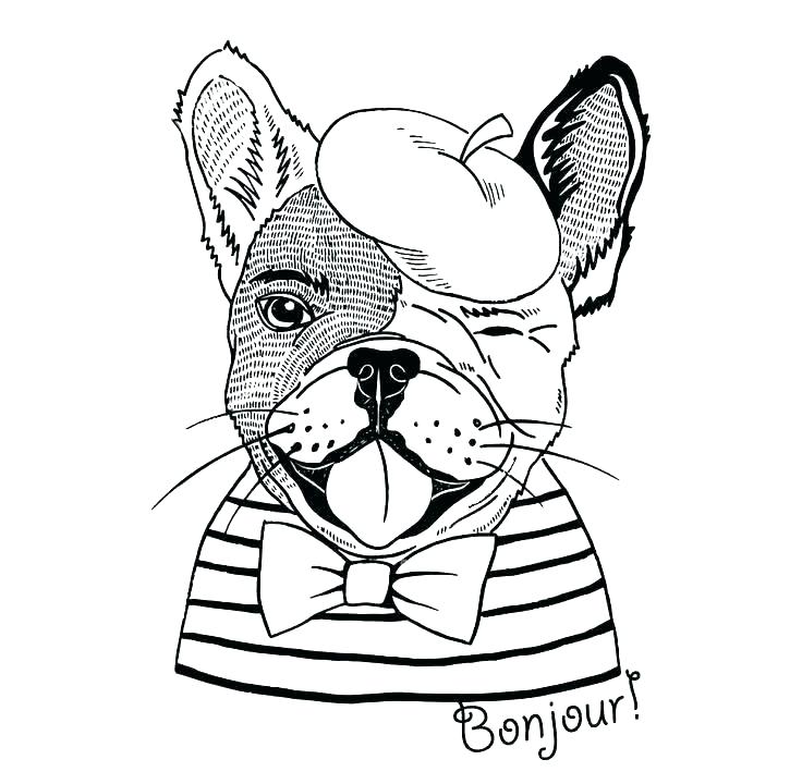 736x720 Bulldog Coloring Page Cartoon Pictures Of Bulldogs English Bulldog