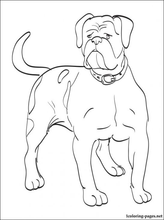 545x730 A Large Grown Up American Bulldog Coloring Page Animal Coloring