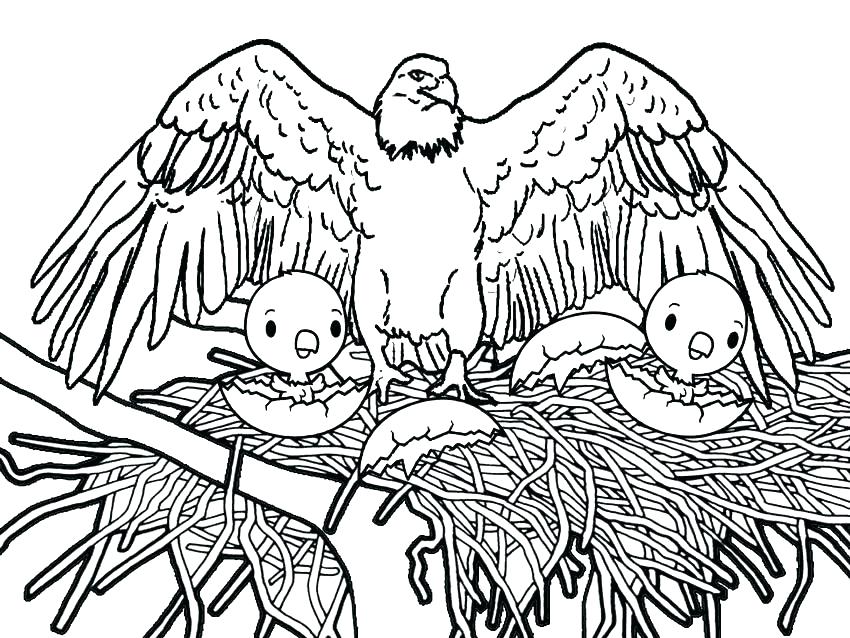 850x638 Eagle Coloring Pages Eagle Color Page Eagle Coloring Pages Me 9