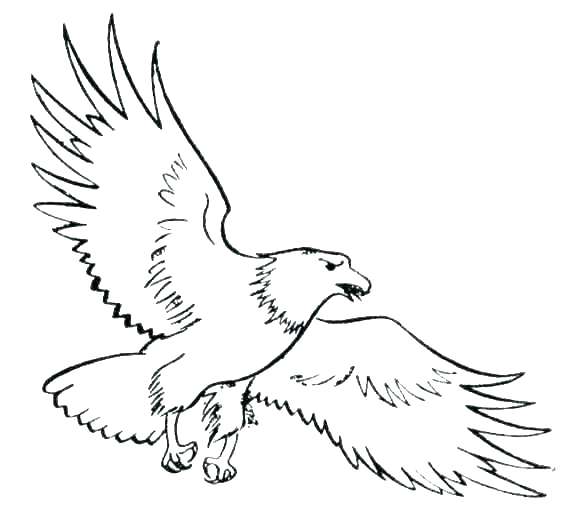 577x525 Top Free Printable Eagles Coloring Pages Eagles Coloring Pages