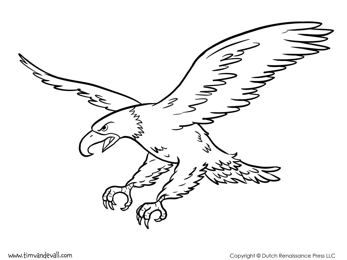 1200x900 Bald Eagle Coloring Page Free Printable Realistic Animals Feather