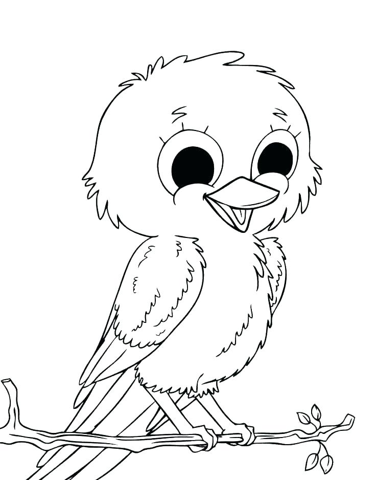 736x938 Robin Coloring Page Robin Coloring Pages Robin Coloring Page Robin