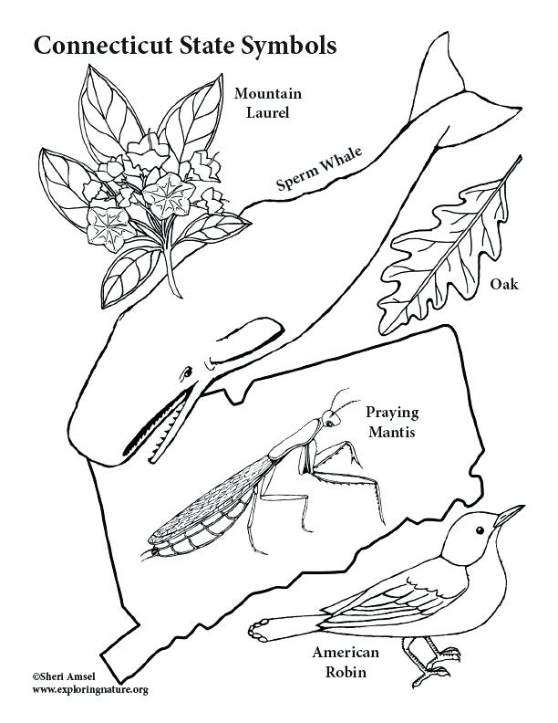 612x792 State Symbols Coloring Page Us National Symbols Coloring Pages