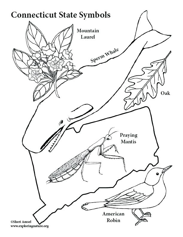 612x792 American Symbols Coloring Pages Shippa.co