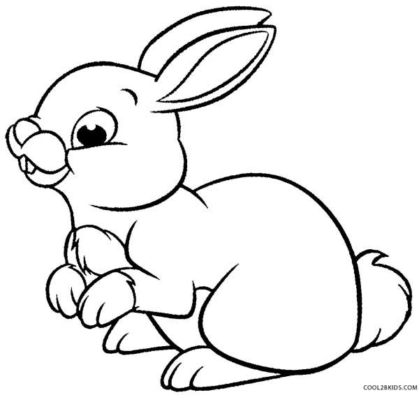 600x566 Rabbit Coloring Pages For Preschoolers