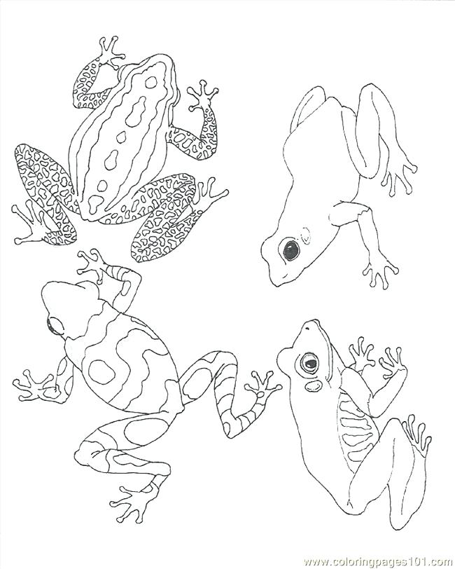 650x812 Amphibian Coloring Pages Amphibian Coloring Pages Ben 10 Ampfibian