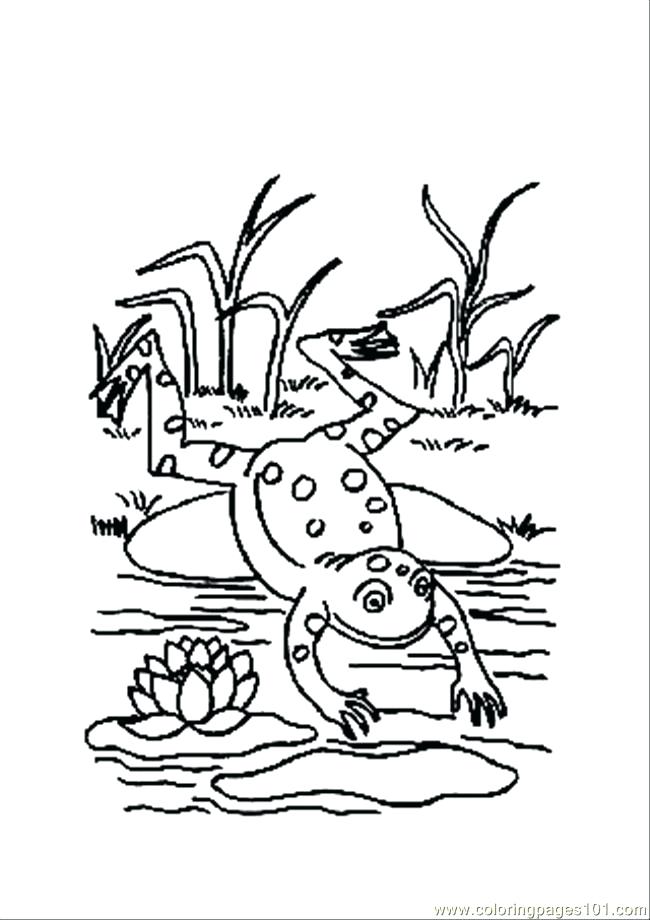 650x920 Amphibian Coloring Pages Coloring Pages Animals Coloring Page