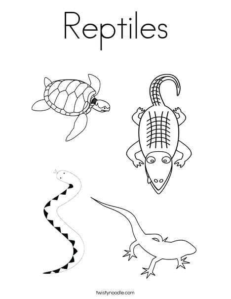 468x605 Amphibian Coloring Pages Printable Coloring Pages Of Reptiles