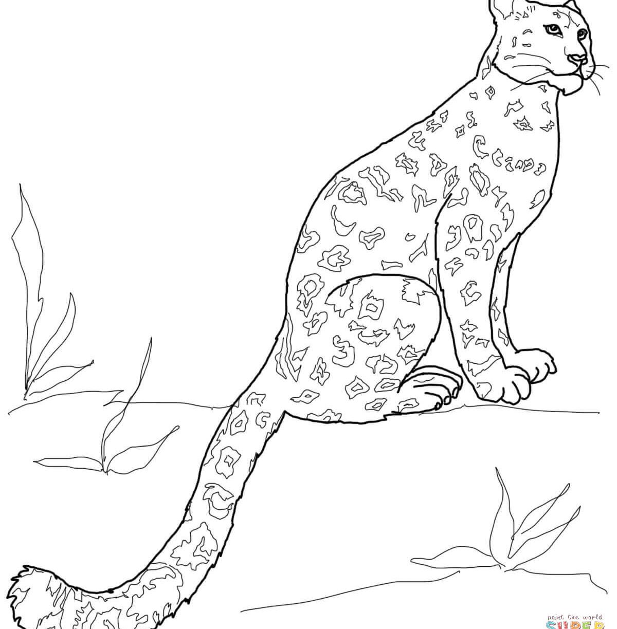 1200x1224 Excellent Baby Leopardng Pages Mammals Snow Colouring Leopard