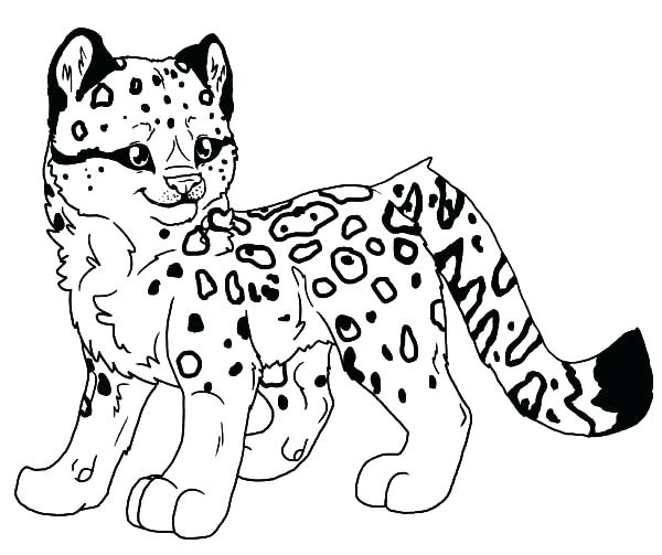 600x503 Leopard Coloring Pages Defeat The Leopard Coloring Page Leopard
