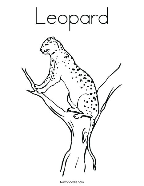 468x605 Amur Leopard Coloring Pages Leopard Coloring Page Lurking Leopard