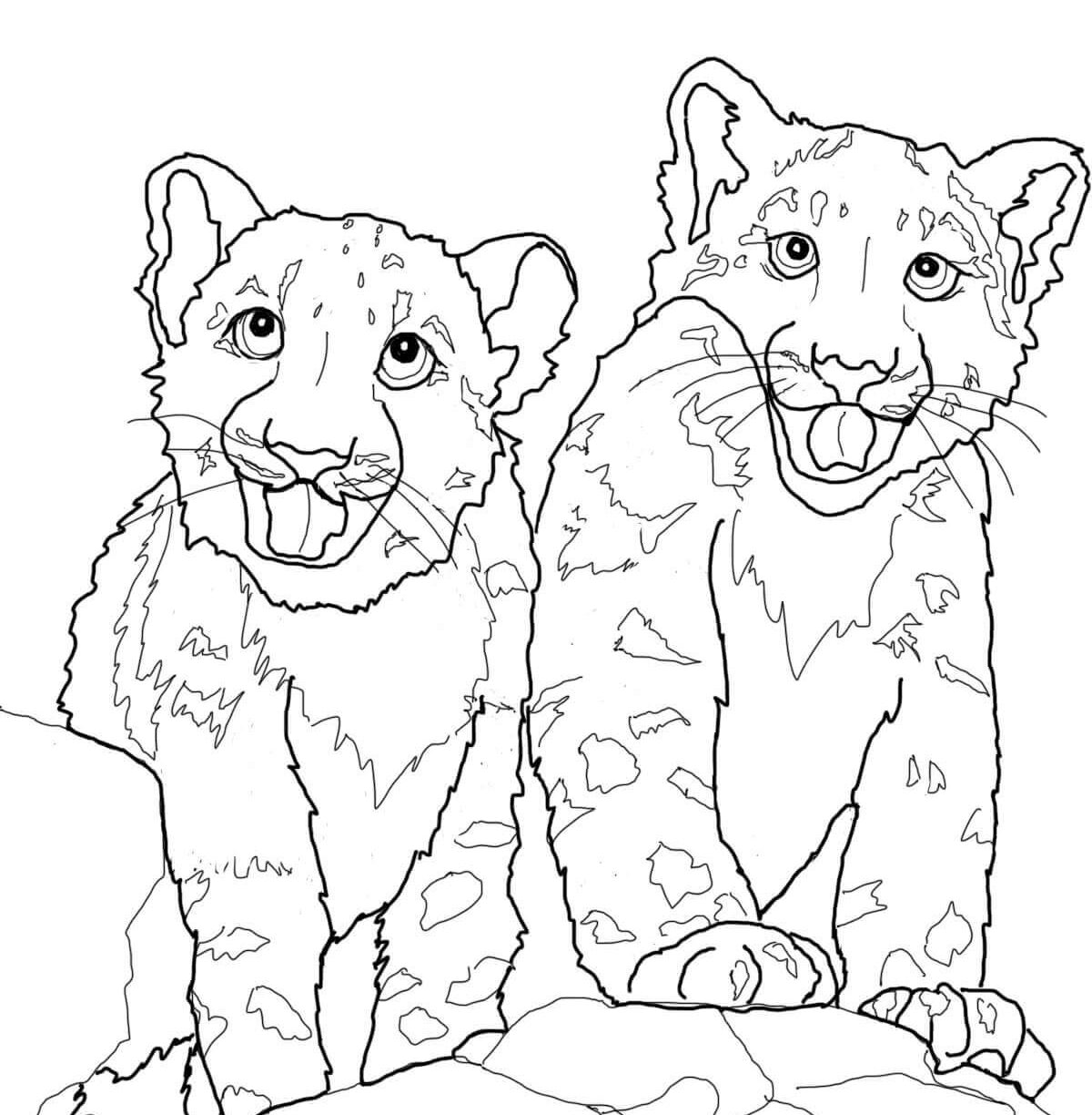 1200x1224 Baby Snow Leopard Coloring Pages Colouring For Kids Pictures Amur