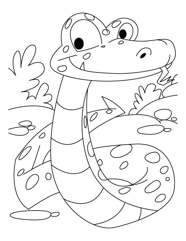 612x792 Anaconda Snake Drawing At Free For Personal Use Coloring Pages