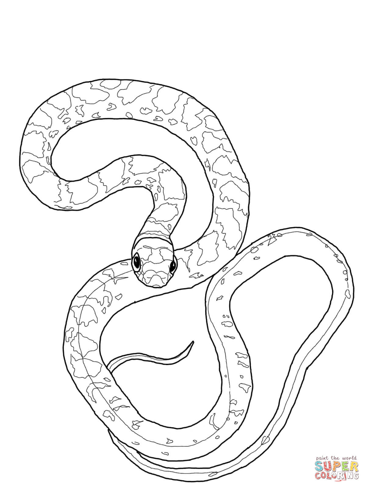 1200x1600 Better Anaconda Coloring Page Black Racer Snak