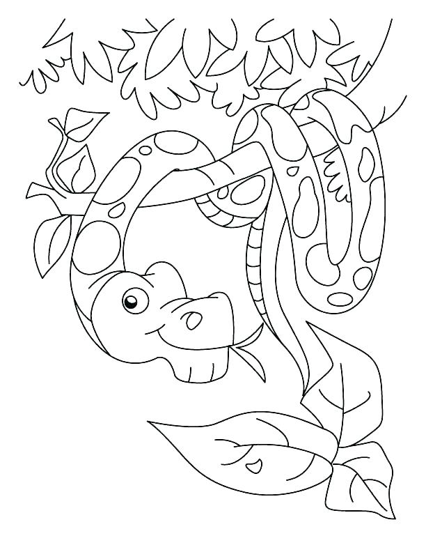 612x792 Anaconda Coloring Page Rattlesnake Coloring Page Anaconda Coloring