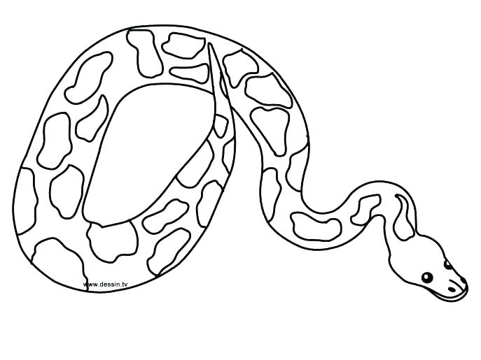 687x515 Boa Constrictor Coloring Page Anaconda Coloring Pages Boa Boa
