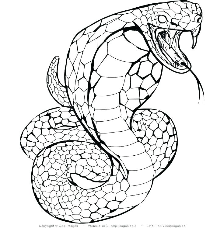 736x750 Cobra Snake Coloring Sheet Anaconda Snake Colouring Anaconda Snake
