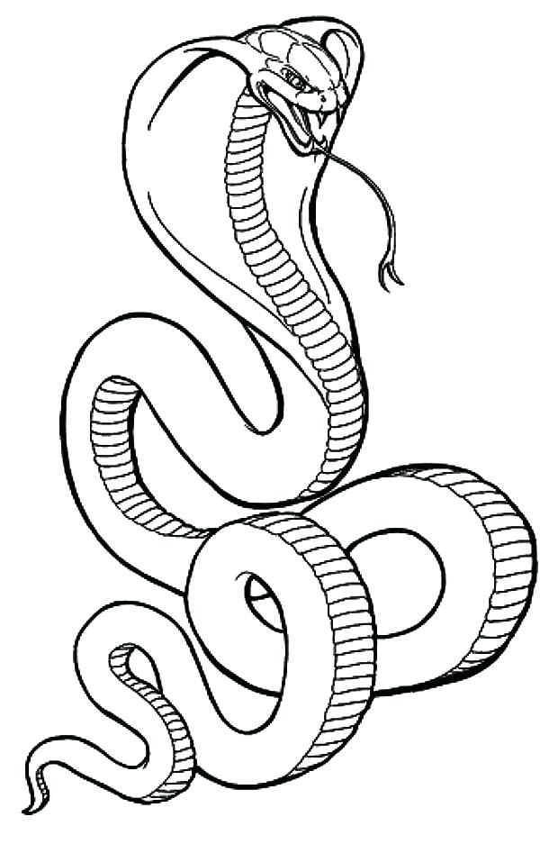 600x937 Snake Coloring Page Anaconda Snake Coloring Pages
