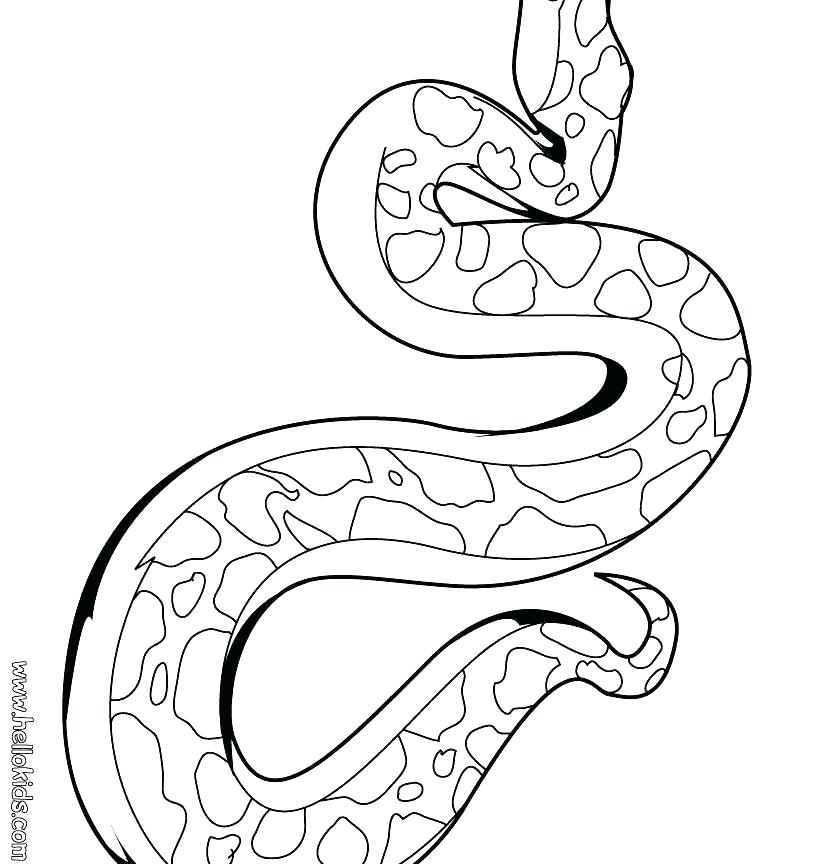 820x864 Snake Coloring Page How To Draw Anaconda Snake Coloring Page Snake