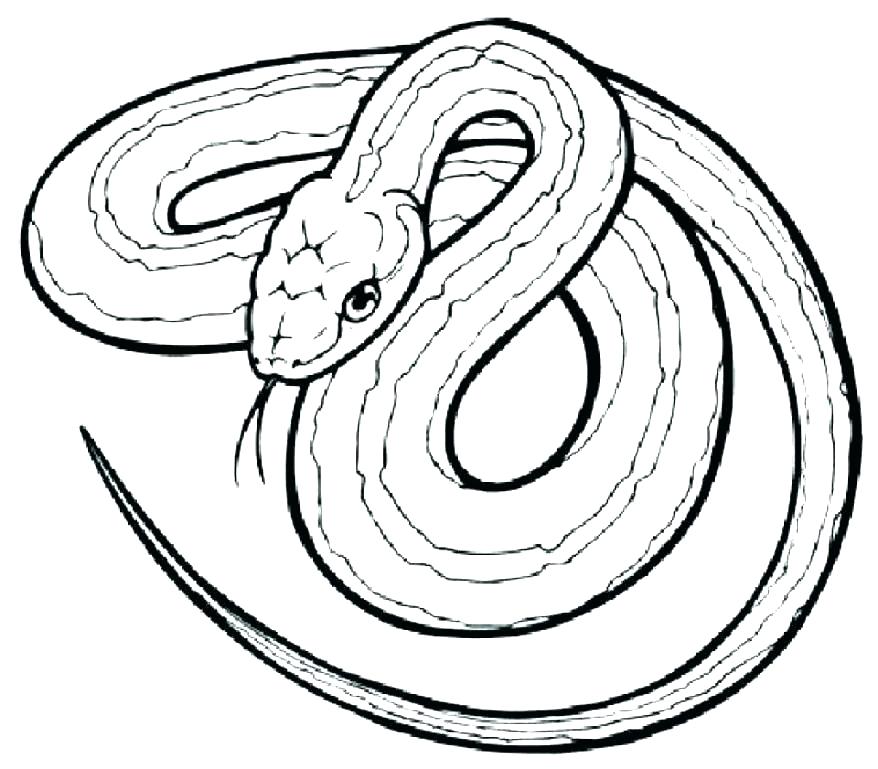 878x769 Snake Coloring Pages Snake Coloring Pages For Kids Anaconda