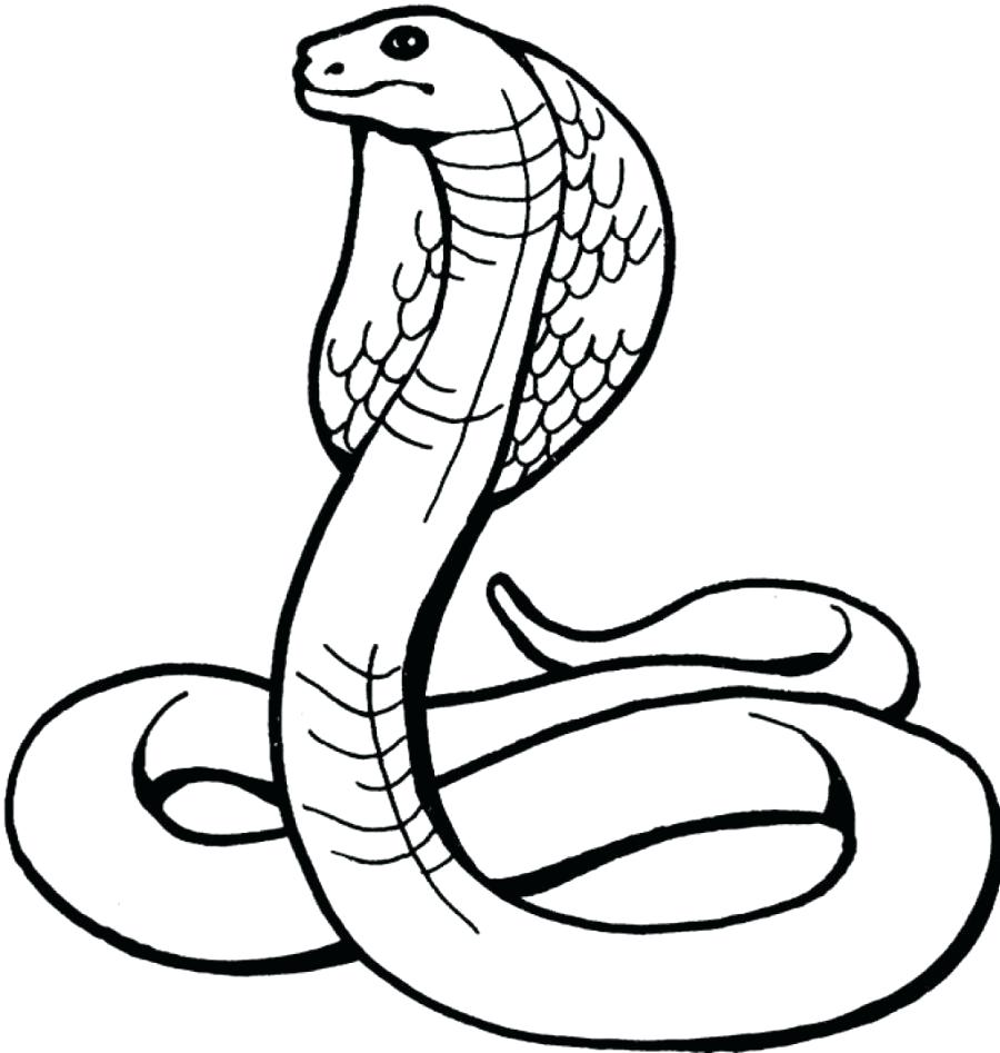 900x947 Coloring Pages ~ Snake Coloring Pages For Kids Reptiles Realistic