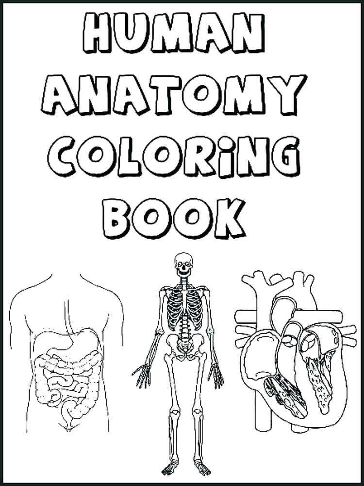 750x1000 Brain Anatomy Coloring Pages Human Anatomy Coloring Pages Anatomy